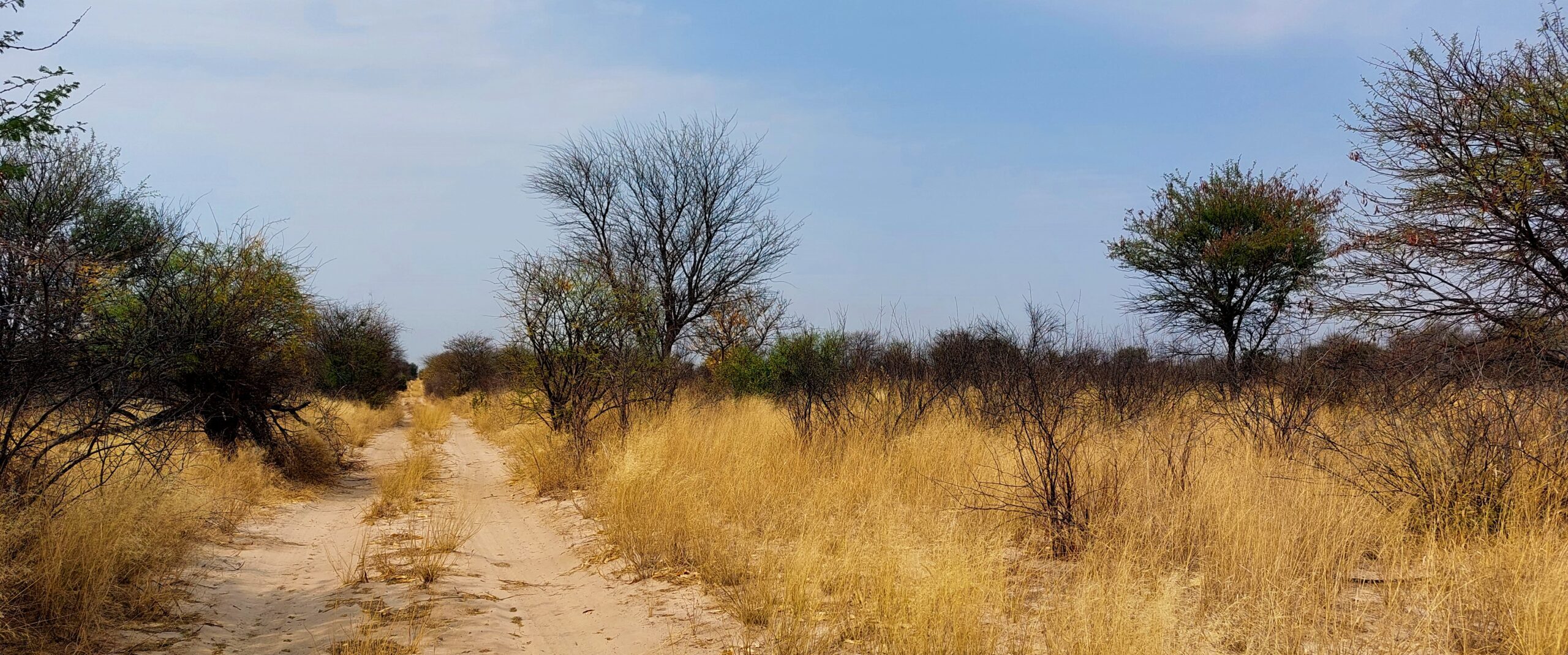 20 – Abenteuer Kalahari