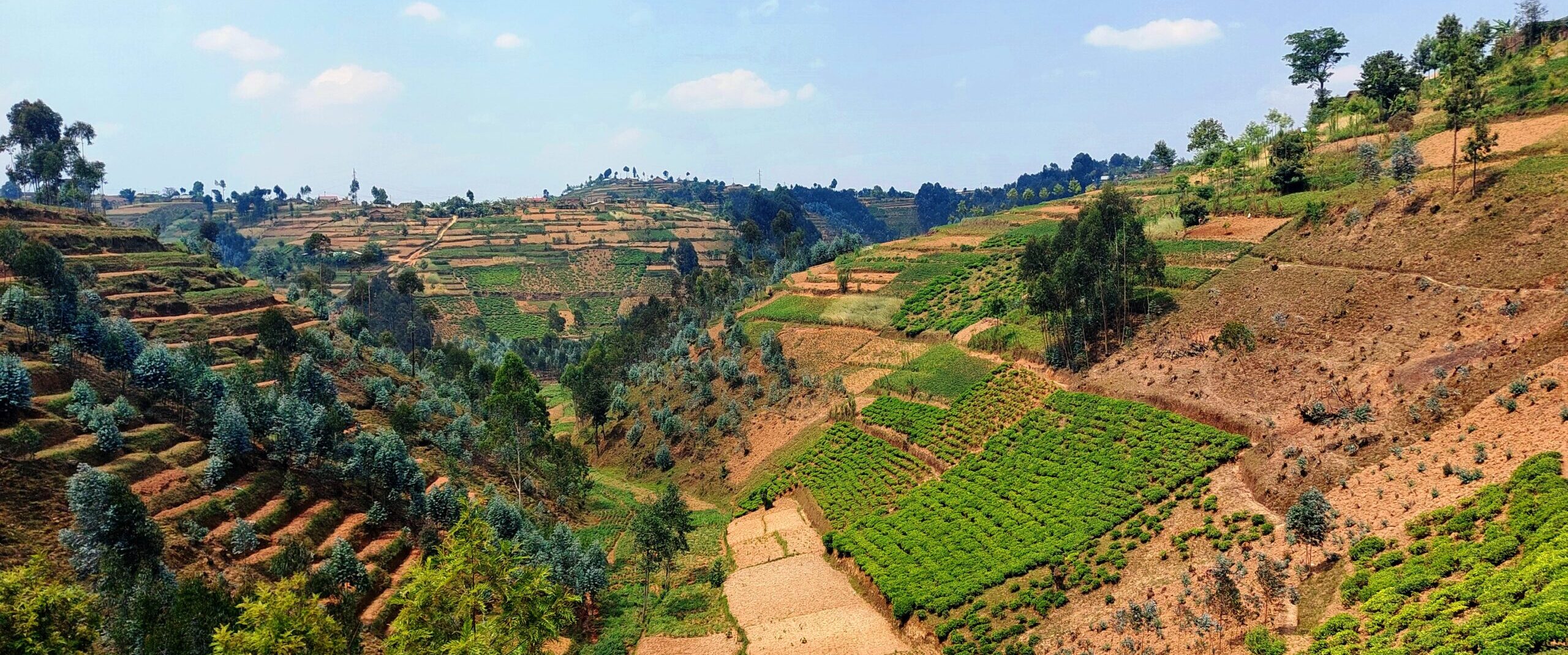 39 – Ruanda – Pays des Mille Collines